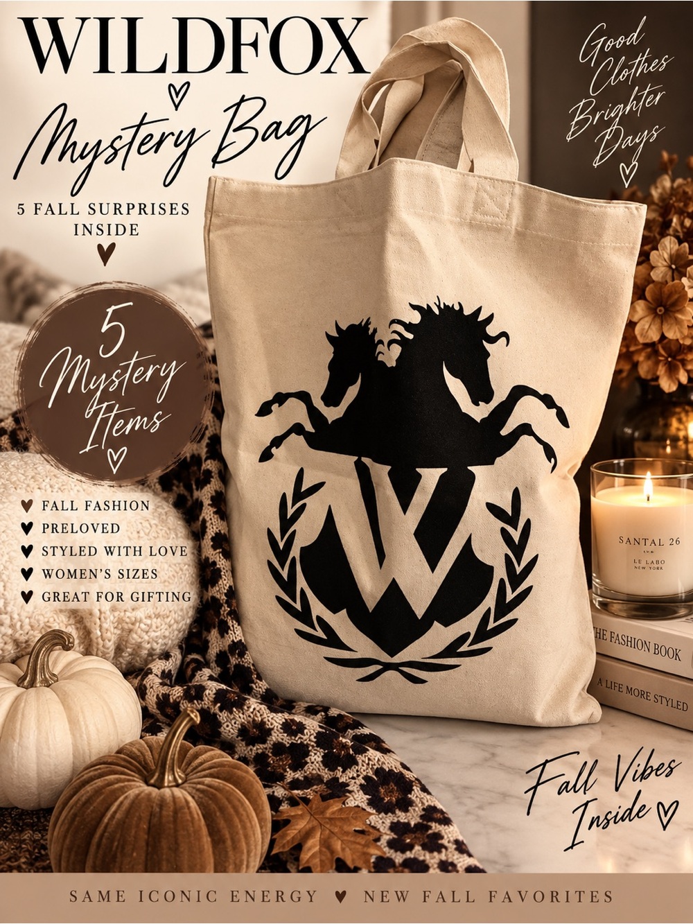 Wildfox Mystery Bag including Beige Canvas Tote